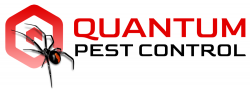 quantum pest control logan