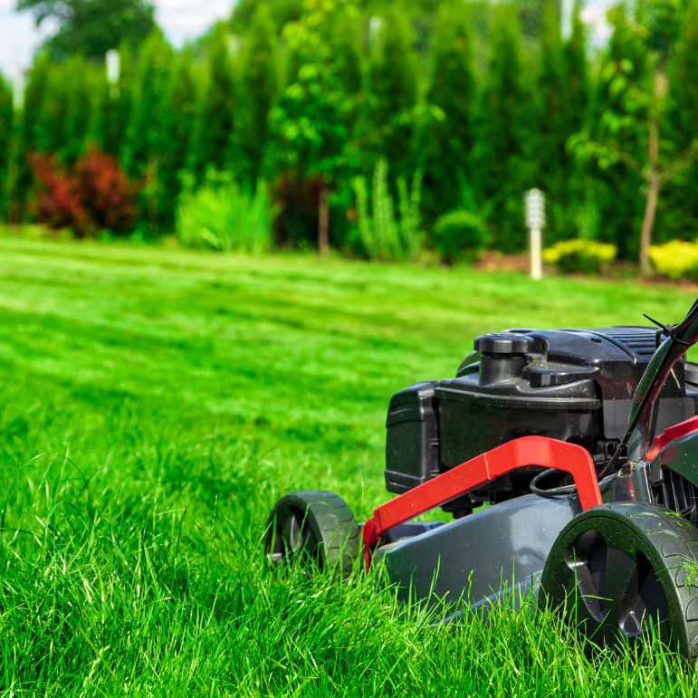 windaroo lawn mowing